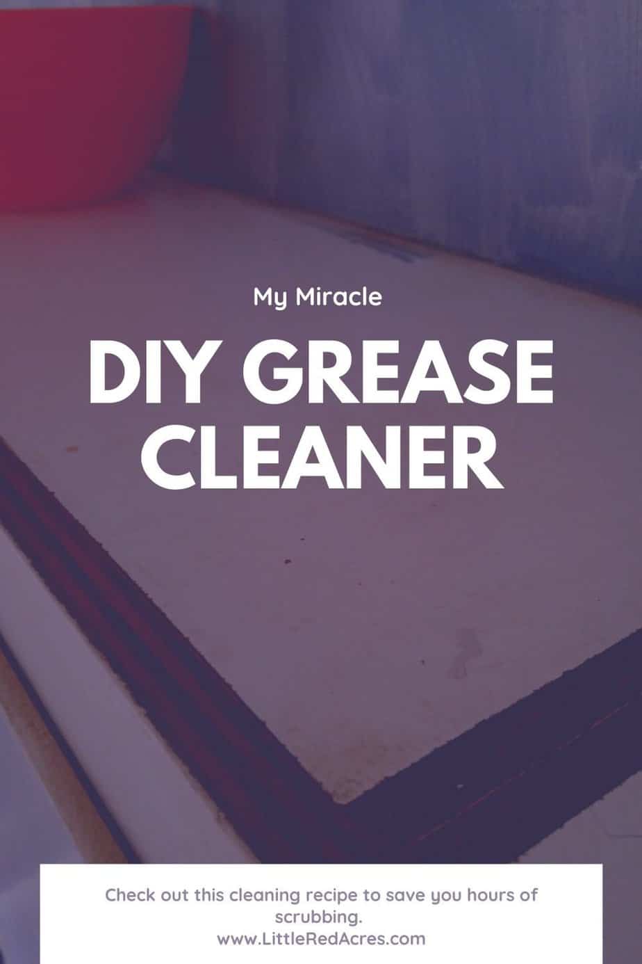 DIY Grease Cleaner