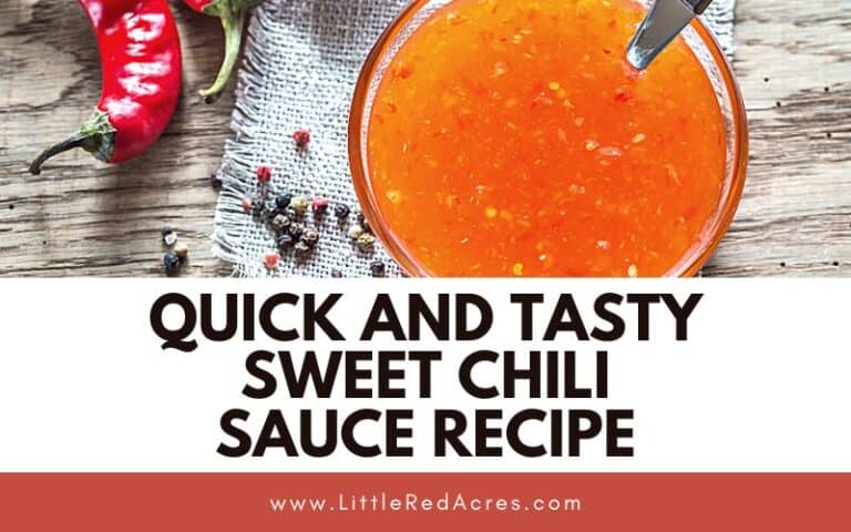 Quick and Tasty Sweet Chili Sauce Recipe