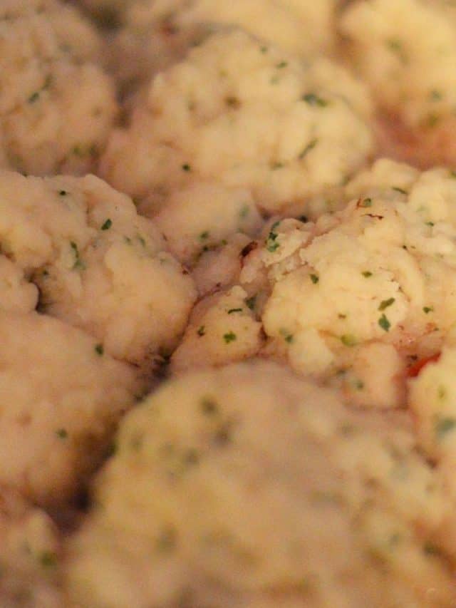 Homemade Dumplings