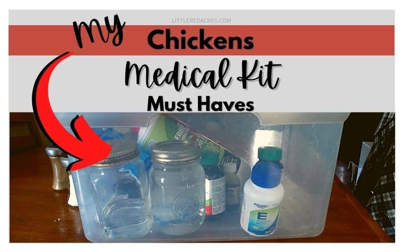 Keeping a Medical Kit for Chickens - picture of my kit with text overlay