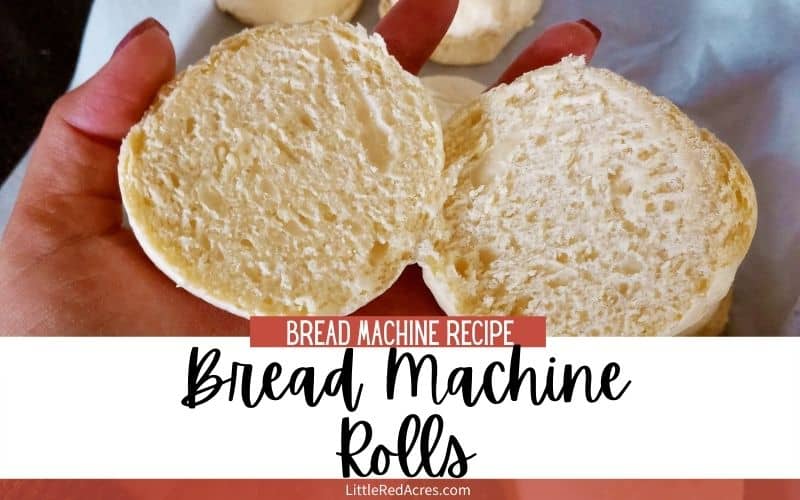 Bread Machine Roll Recipe-finished