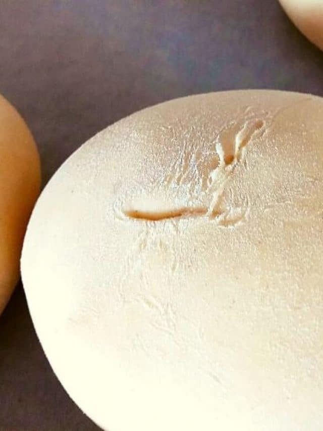 cropped-Bread-Machine-Roll-Recipe.jpg