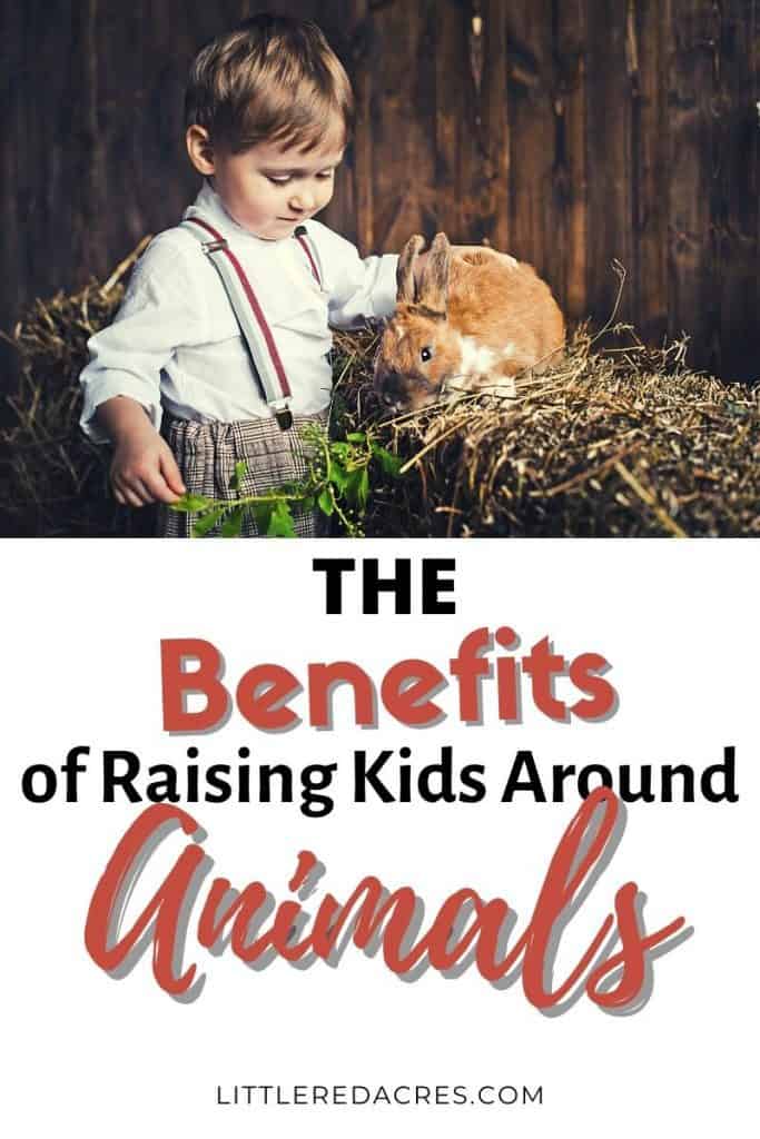 Benefits of Raising Kids Around Animals