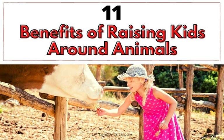 Benefits of Raising Kids Around Animals