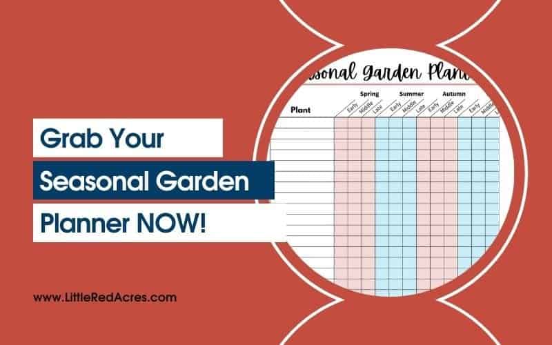 grab your seasonal garden planner now