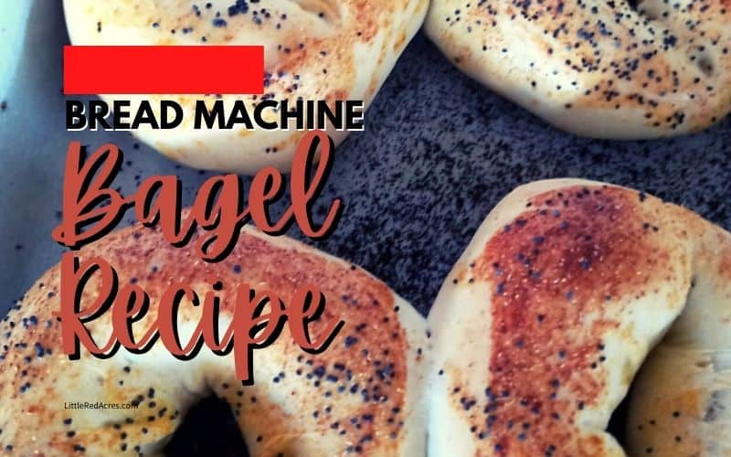 Bread Machine Bagel Recipe - bagels on cookie sheet with text overlay