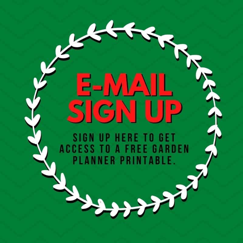 email sign up form image-garden LRA