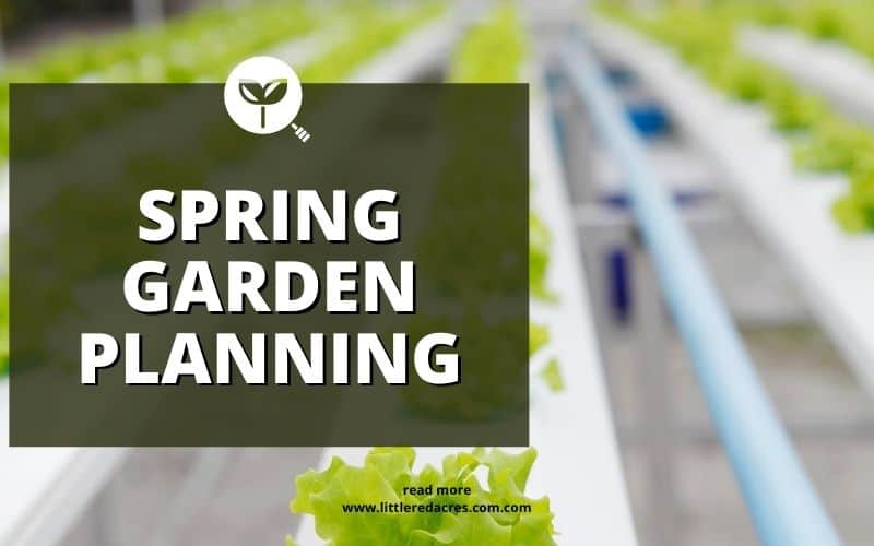 Spring Garden Planning