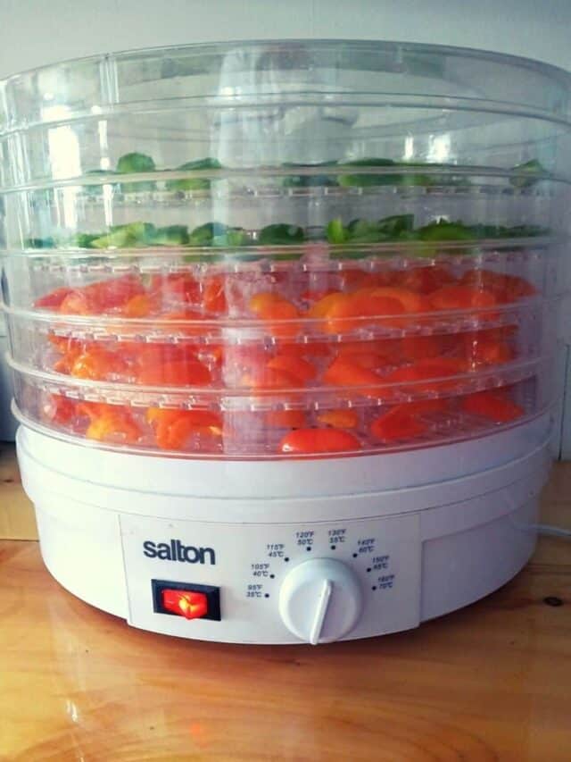 Dehydrating Peppers