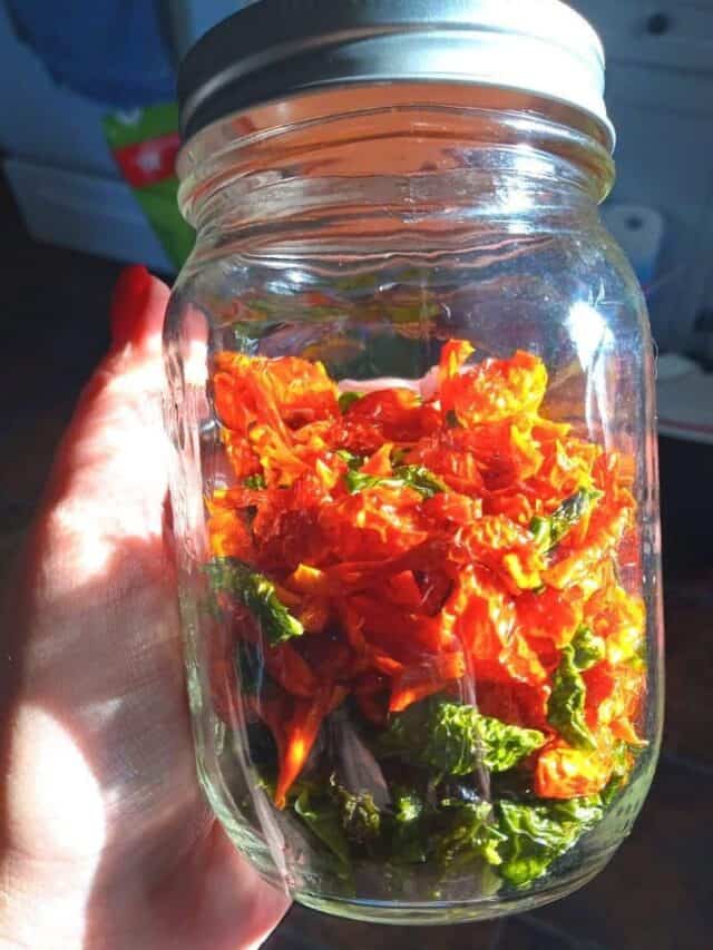 Dehydrating Peppers