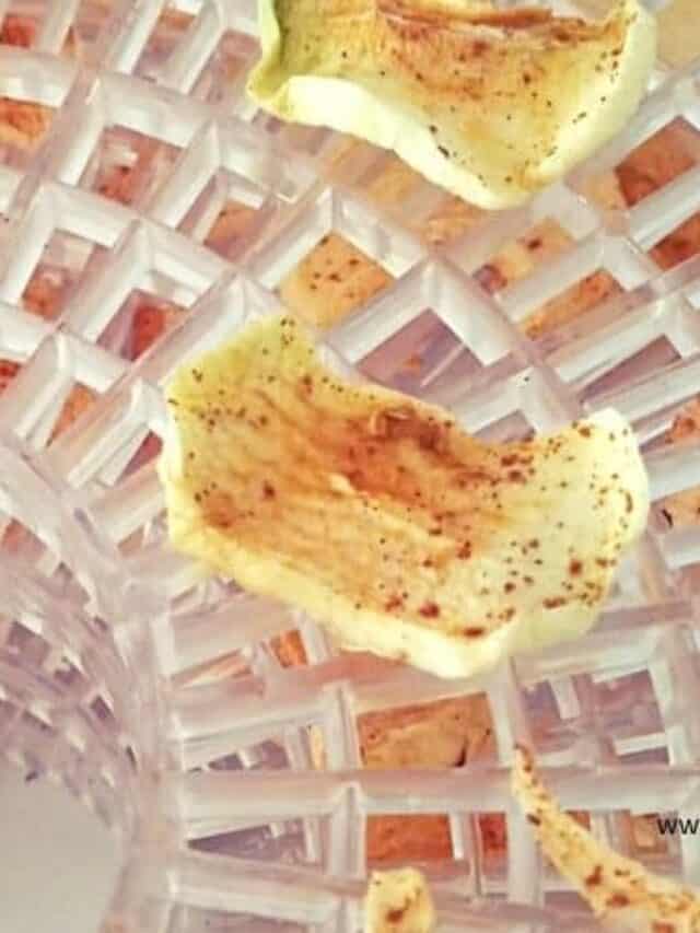 Dehydrating Apple Slices - apple slices laying on dehydrator tray