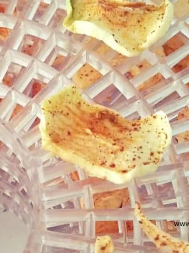 Dehydrating Apple Slices - apple slices laying on dehydrator tray