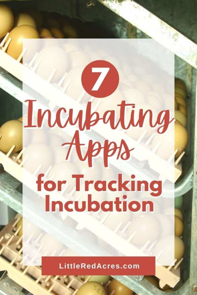 Incubating Apps for Tracking Incubation - eggs in incubator with text overlay