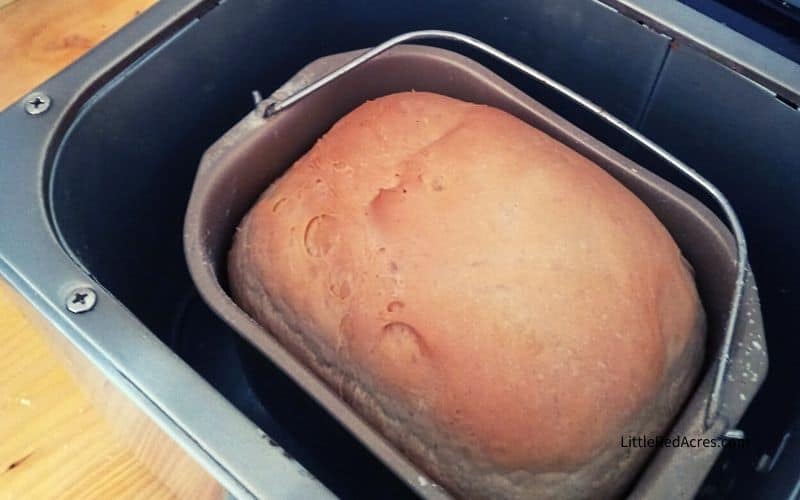 finished loaf of bread in bread machine