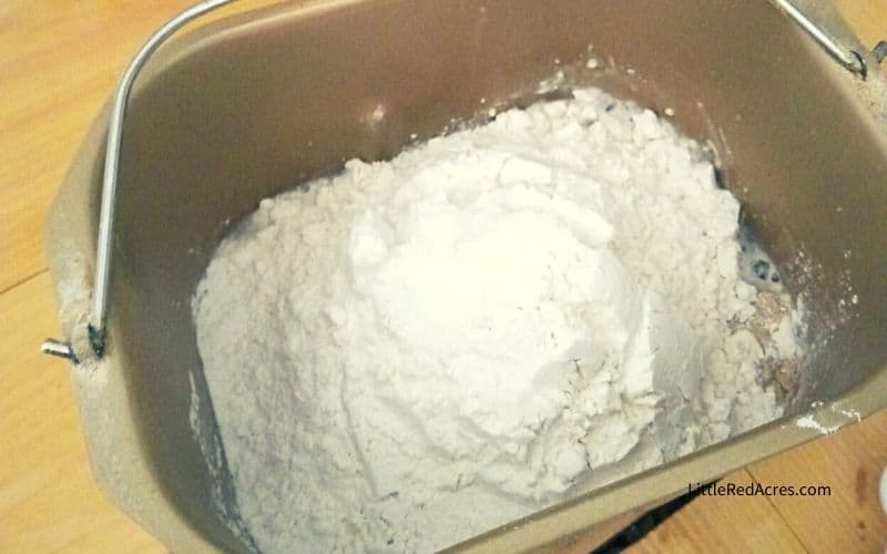 flour in bread machine pan