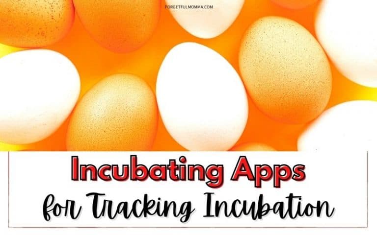 Incubating Apps for Tracking Incubation