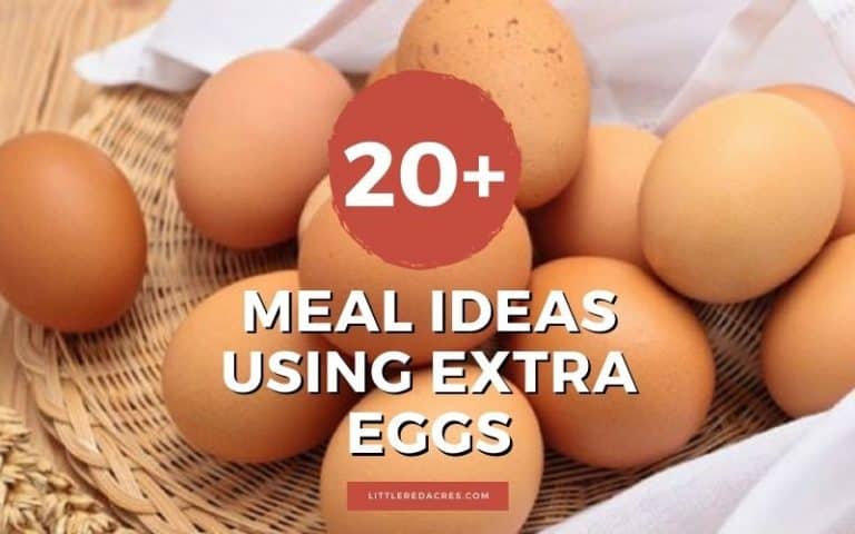 Meal Ideas Using Extra Eggs