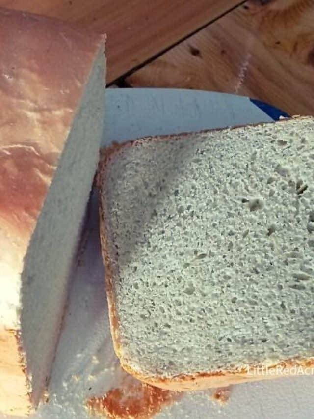 cropped-Bread-Machine-Sandwich-Bread-Recipe.jpg