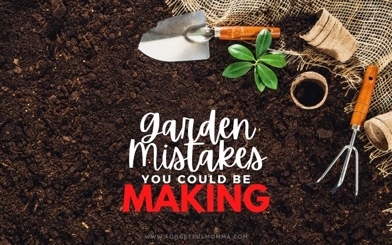 gardening tools laying on soil with text overlay