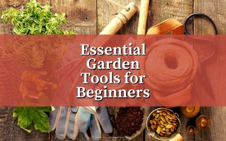 8 Essential Garden Tools for Beginners