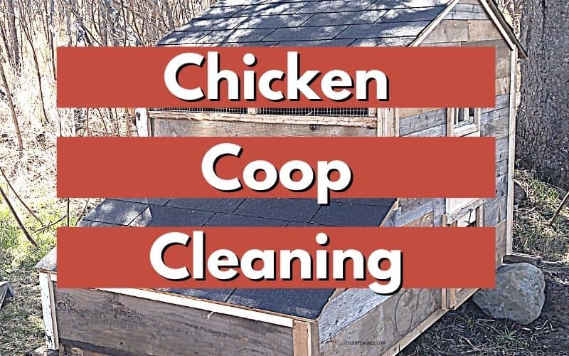 chicken coop with text overlay