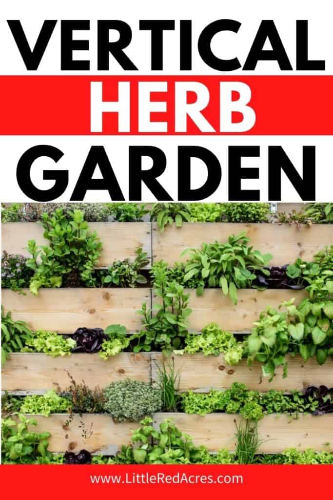 Vertical Herb Garden with text overlay