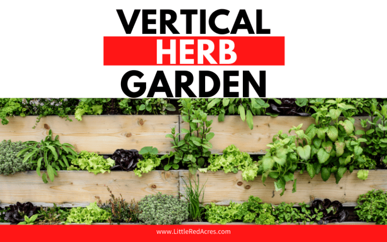 Growing Vertical Herb Gardens