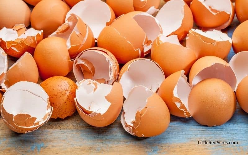 broken eggshells on counter