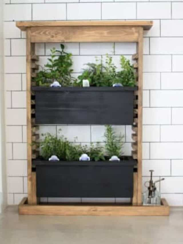 Growing Herbs in the House