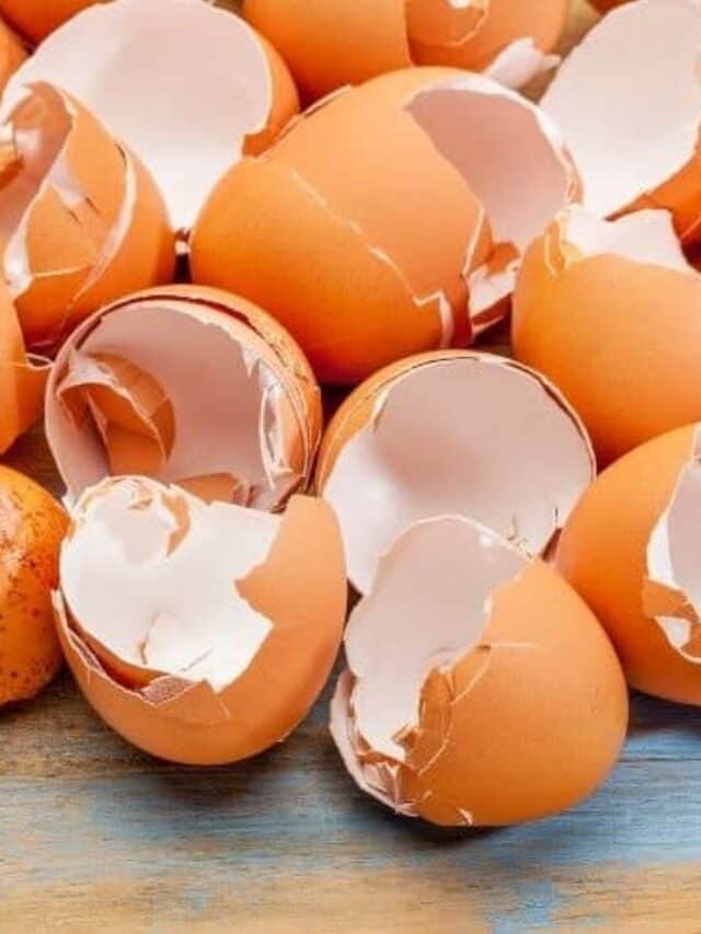 What to Do with Eggshells