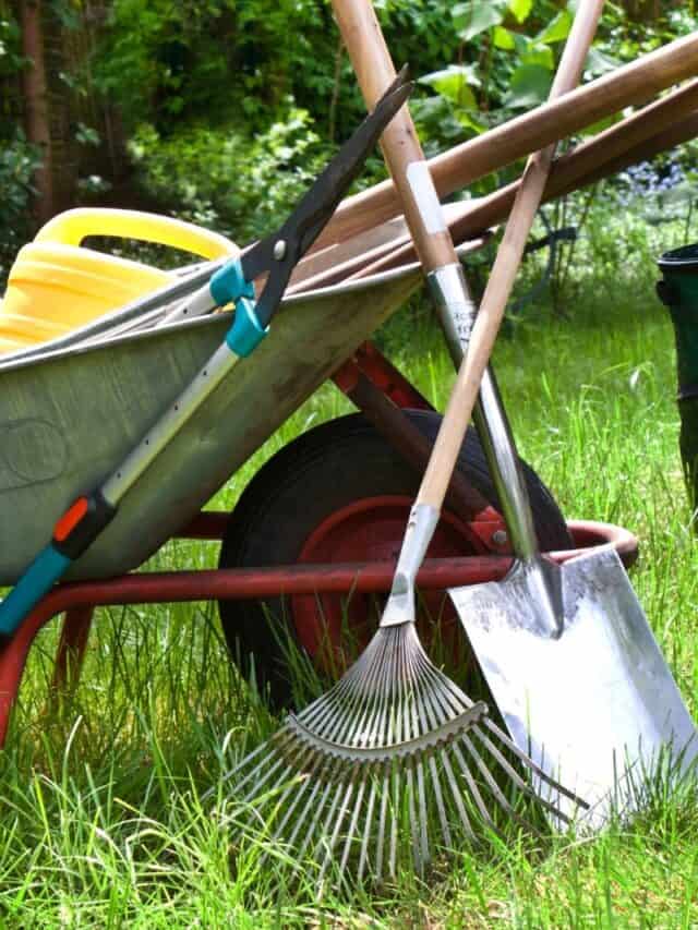 cropped-garden-tools.jpg