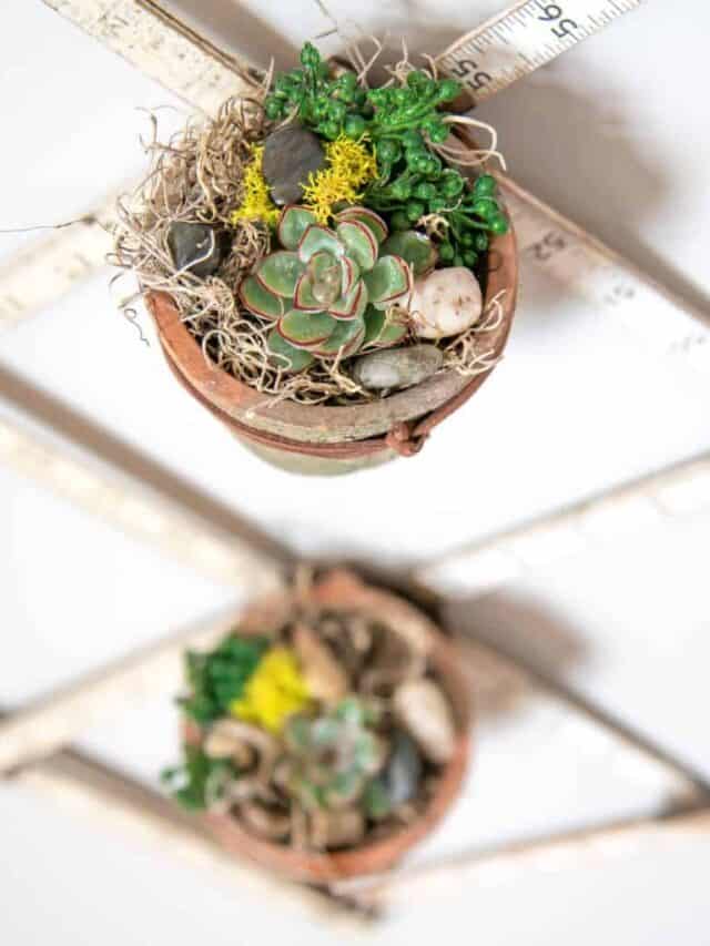 Growing Vertical Herb Gardens