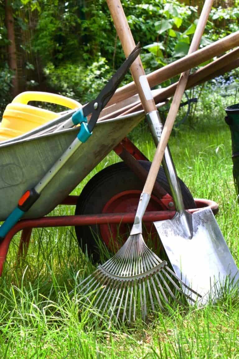 Essentials Homestead Tools Checklist