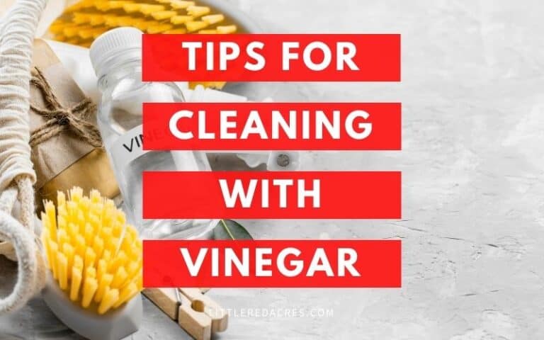 10 Tips for Cleaning with Vinegar