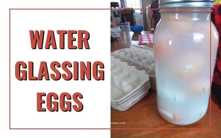 Water Glassing Eggs