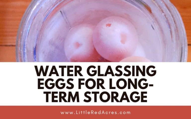 Water Glassing Eggs for Long-Term Storage
