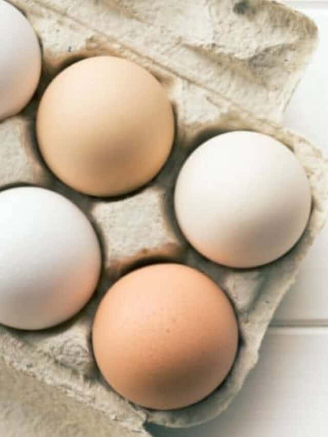 Incubating Eggs