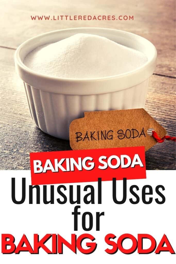 small bowl of baking soda with text overlay