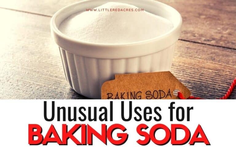 10+ Unusual Uses for Baking Soda on Your Homestead