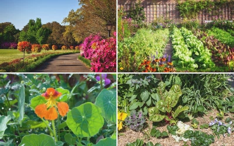four garden images in college