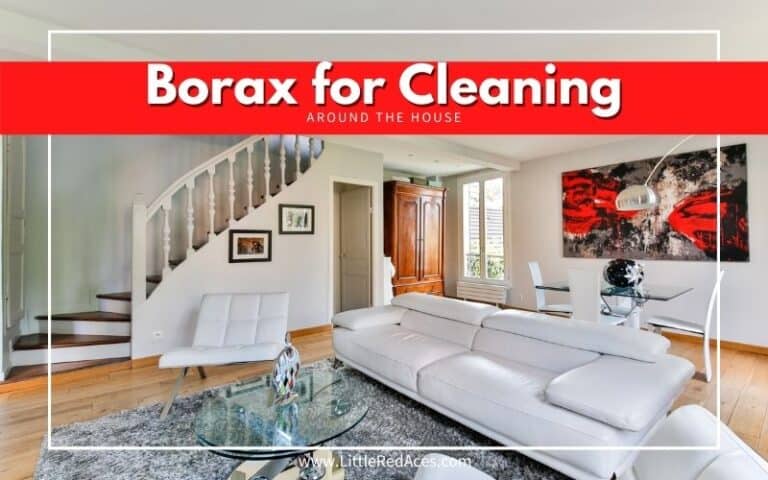 Borax For Cleaning Around The House