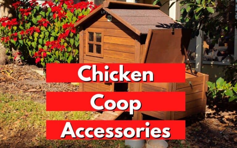 Chicken Coop Accessories