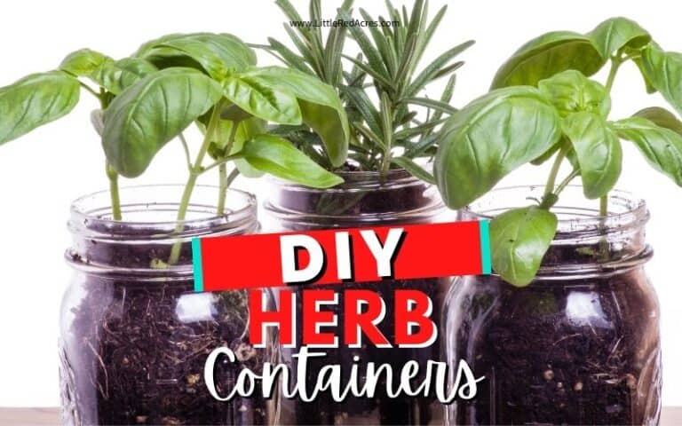 DIY Herbs Containers