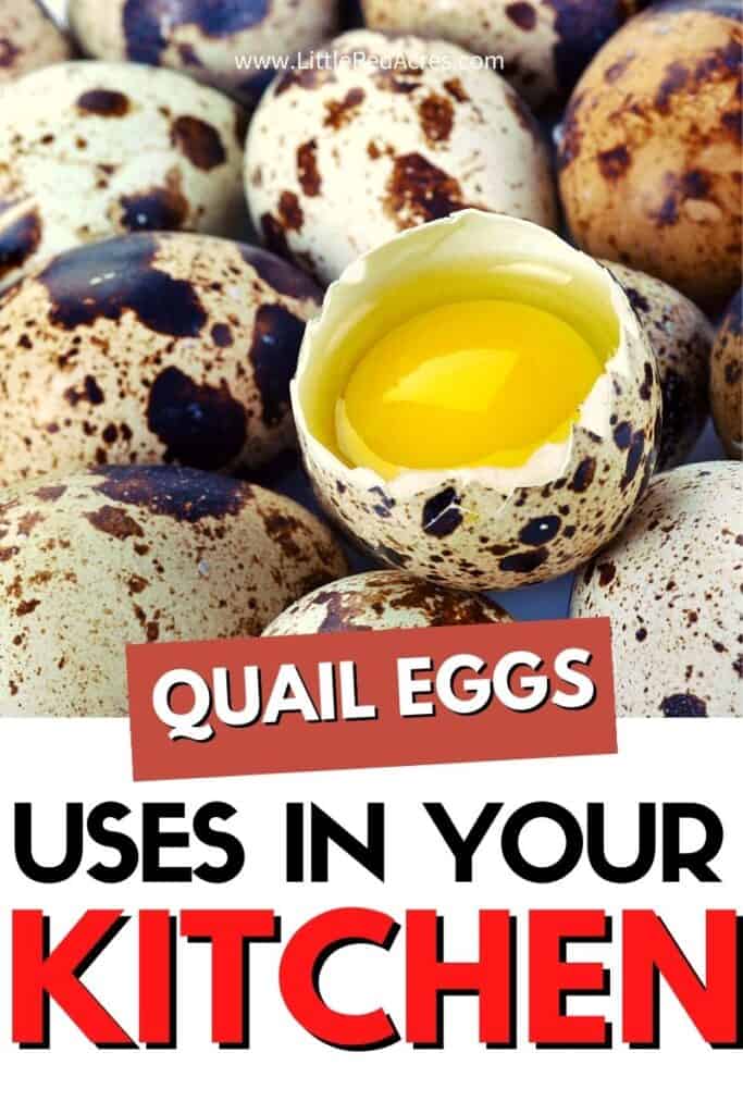 pile of quail eggs with one cracked open with text overlay