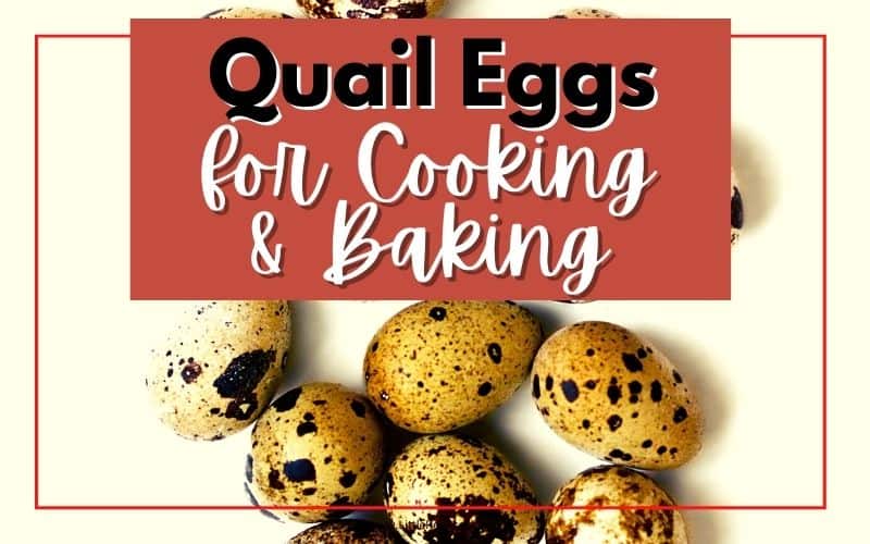 pile of quail eggs with text overlay