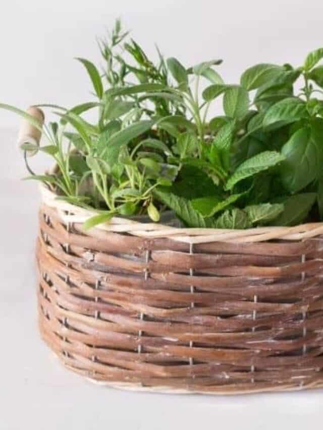 cropped-DIY-Herb-Containers-basket.jpg