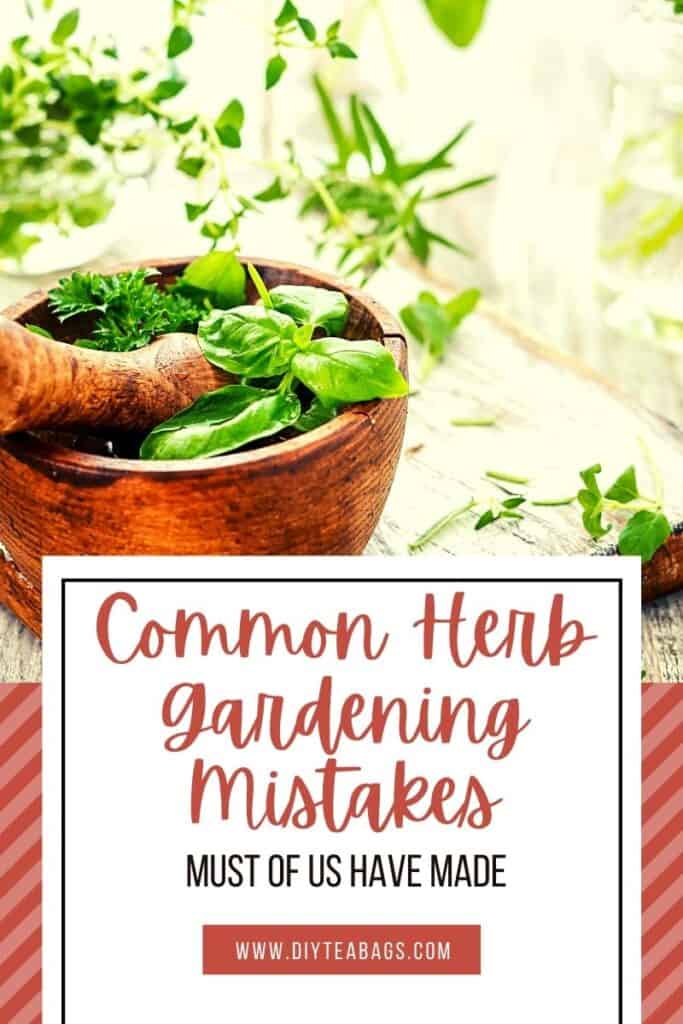 potted herbs with text overlay