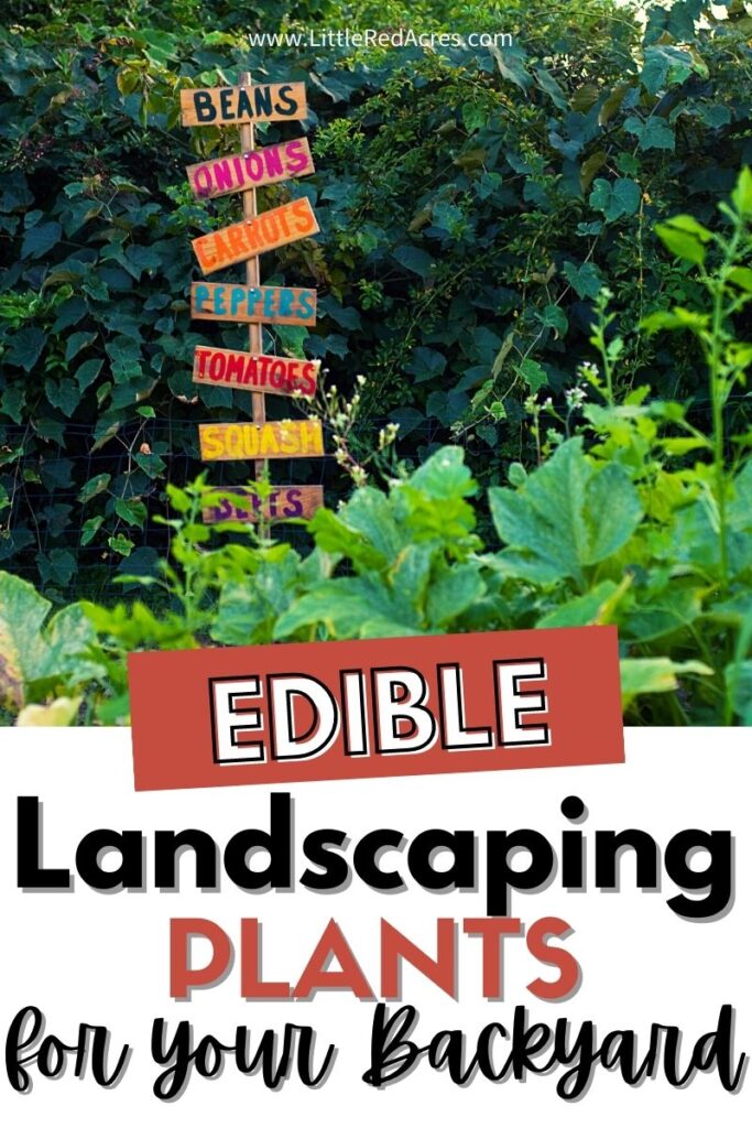 Edible landscape with text overlay