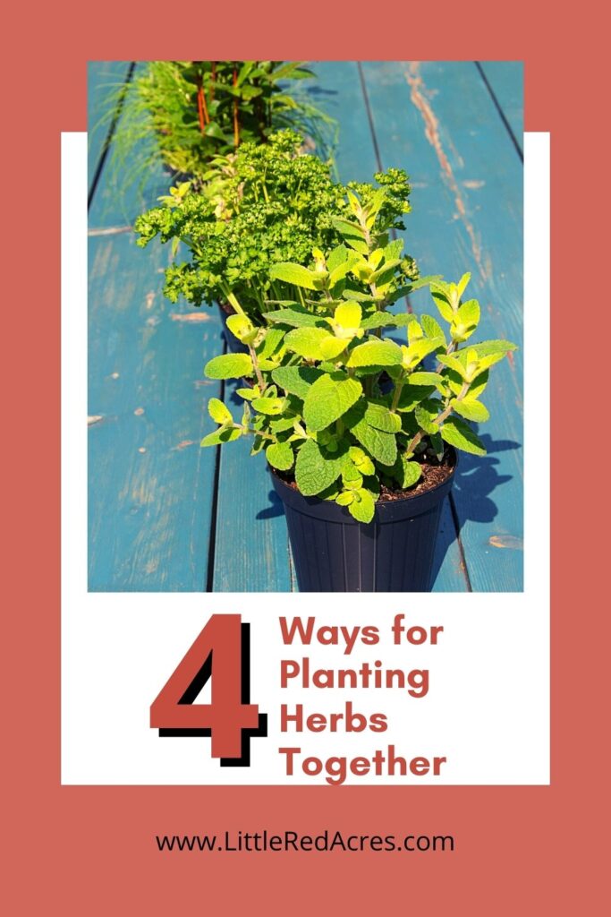 pots of herbs on deck with text overlay