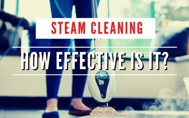 Steam Cleaning: How Effective Is It?